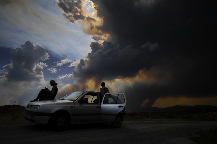 Patricia Melo Moreira-07